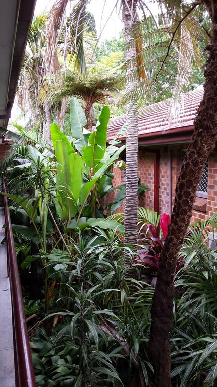 וולונגונג Flinders Motel מראה חיצוני תמונה